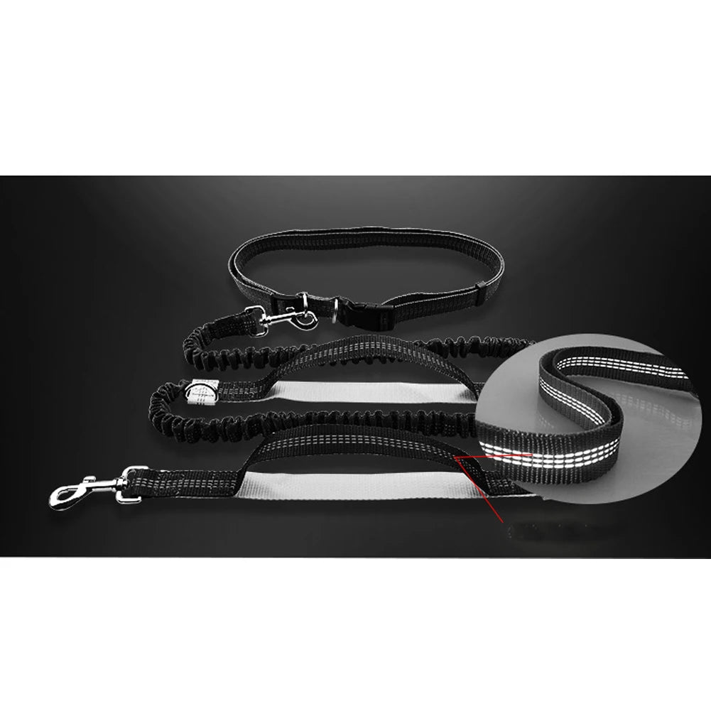 Reflective Leash Traction Rope Pet Dog Running Belt Elastic Hands Freely Jogging Pull Dog Leash Metal D-ring Leashes Harness