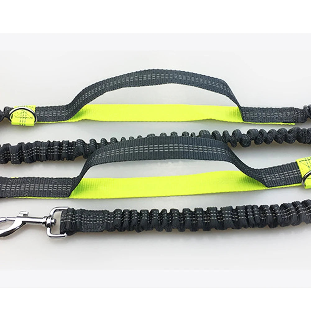 Reflective Leash Traction Rope Pet Dog Running Belt Elastic Hands Freely Jogging Pull Dog Leash Metal D-ring Leashes Harness