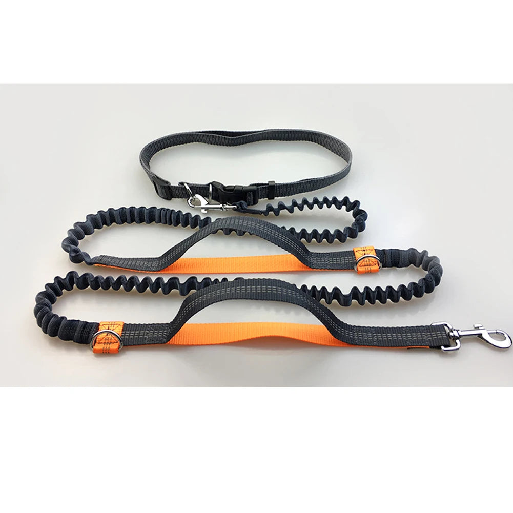 Reflective Leash Traction Rope Pet Dog Running Belt Elastic Hands Freely Jogging Pull Dog Leash Metal D-ring Leashes Harness