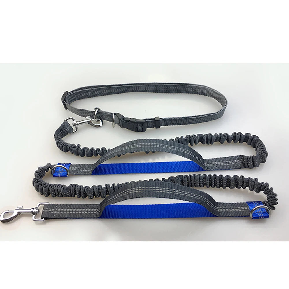 Reflective Leash Traction Rope Pet Dog Running Belt Elastic Hands Freely Jogging Pull Dog Leash Metal D-ring Leashes Harness