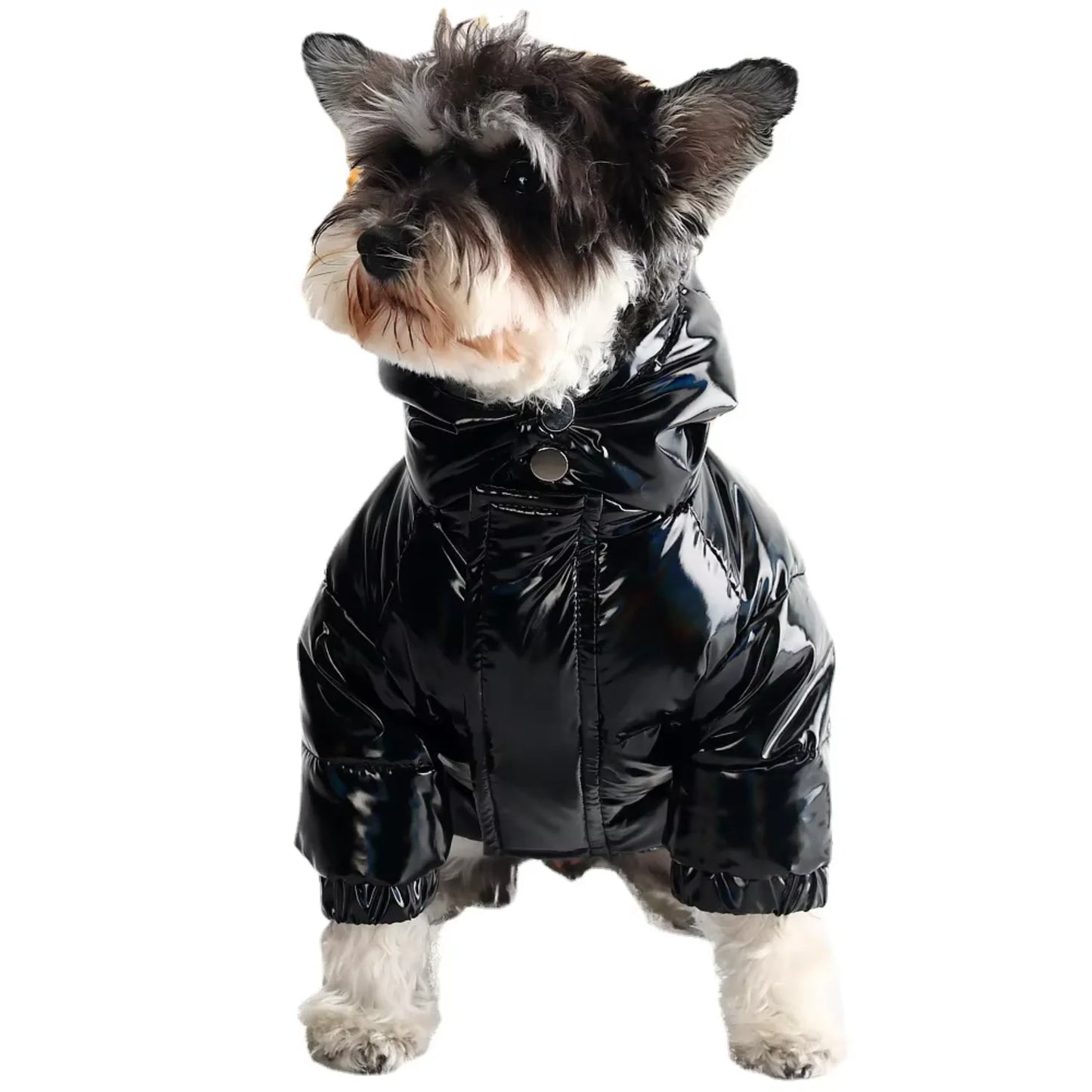 Pet Dog Down Jacket Dog Winter Jacket Luxury Clothes Opp Classic Cartoon High Autumn Winter
