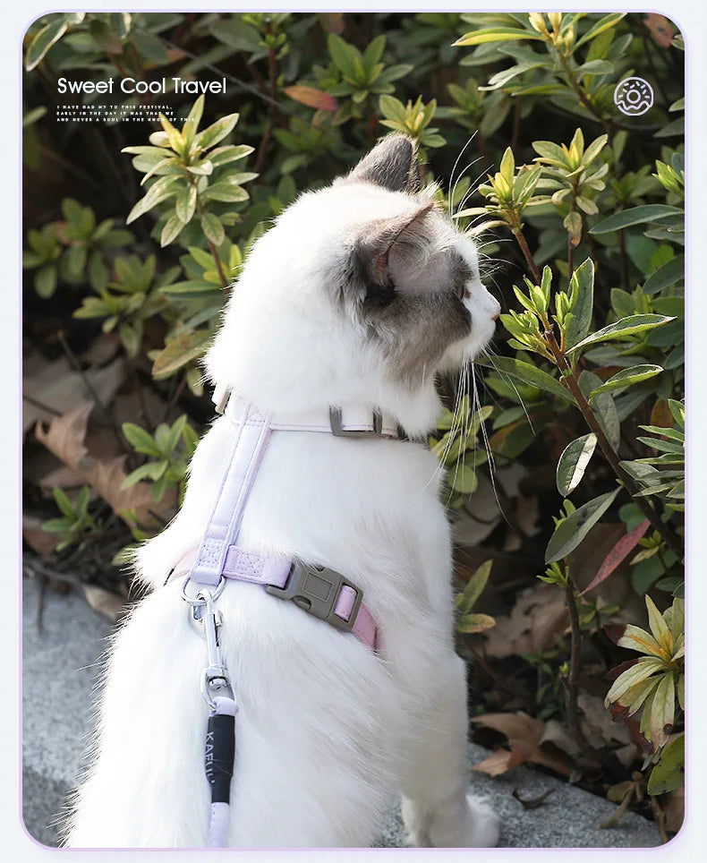 Cat Harness Set Adjustable Escape Proof Pet Harness for Kitten Outdoor Walking Cat Collar Lead Leash Pet Supplies