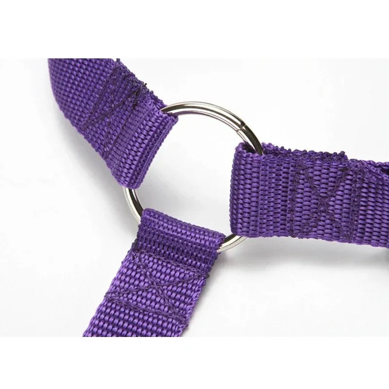 Adjustable Solid Color Pet Car Seat Belt Two-in-One Nylon Lead Leash Backseat Safety Harness Collar for Dogs Pet Travel Accessor