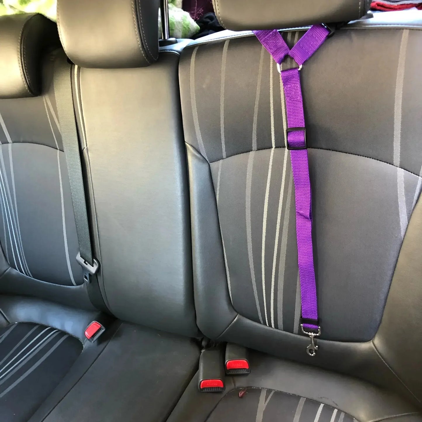 Adjustable Solid Color Pet Car Seat Belt Two-in-One Nylon Lead Leash Backseat Safety Harness Collar for Dogs Pet Travel Accessor