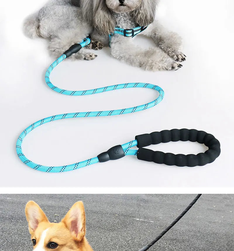 150/200/300cm Strong Dog Pet Leash Reflective Leash Large Small Dog Leash Golden Retriever Explosion Proof Punching Dog Harness
