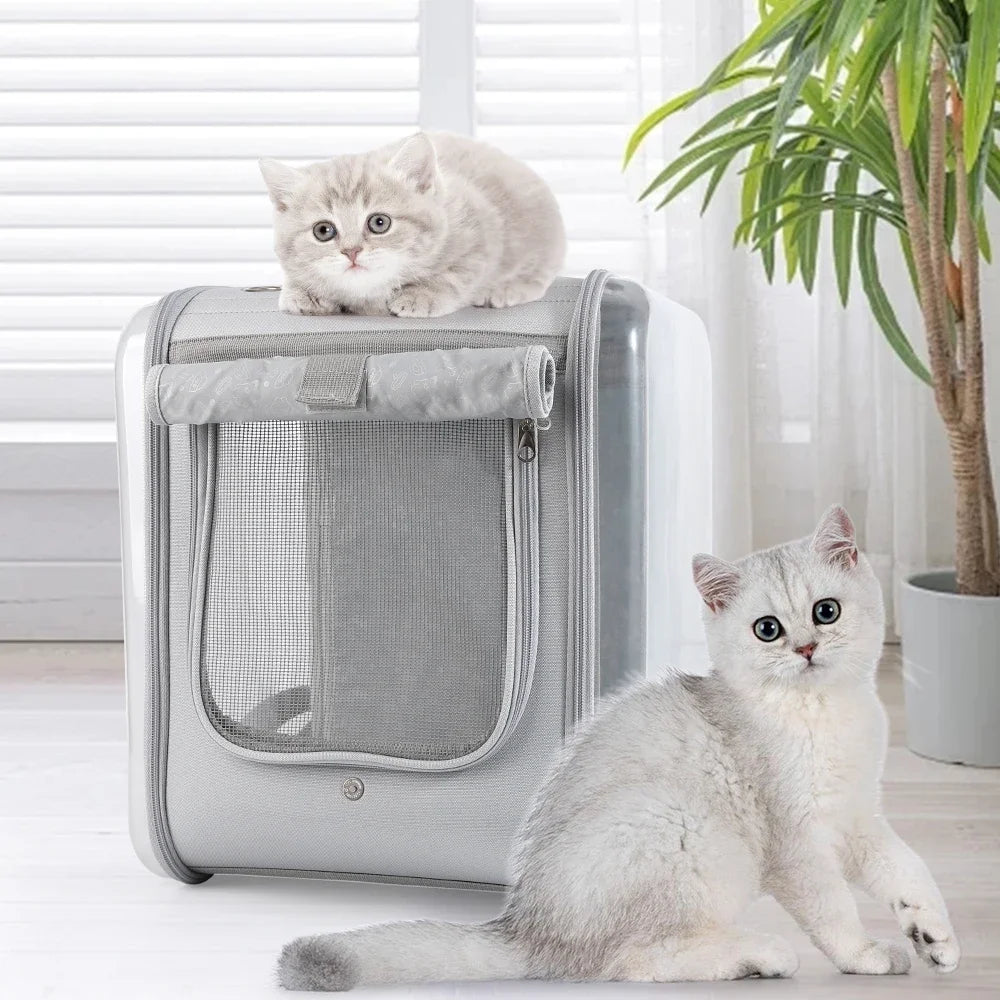 Cat/dog Backpack Carrier Large Pet Backpack Carrier, 17lbs Load-Bearing Ventilated Design Dog Backpack Carrier for Small Dogs