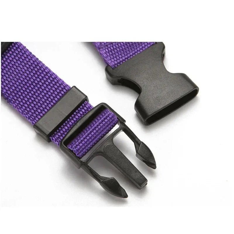 Adjustable Solid Color Pet Car Seat Belt Two-in-One Nylon Lead Leash Backseat Safety Harness Collar for Dogs Pet Travel Accessor