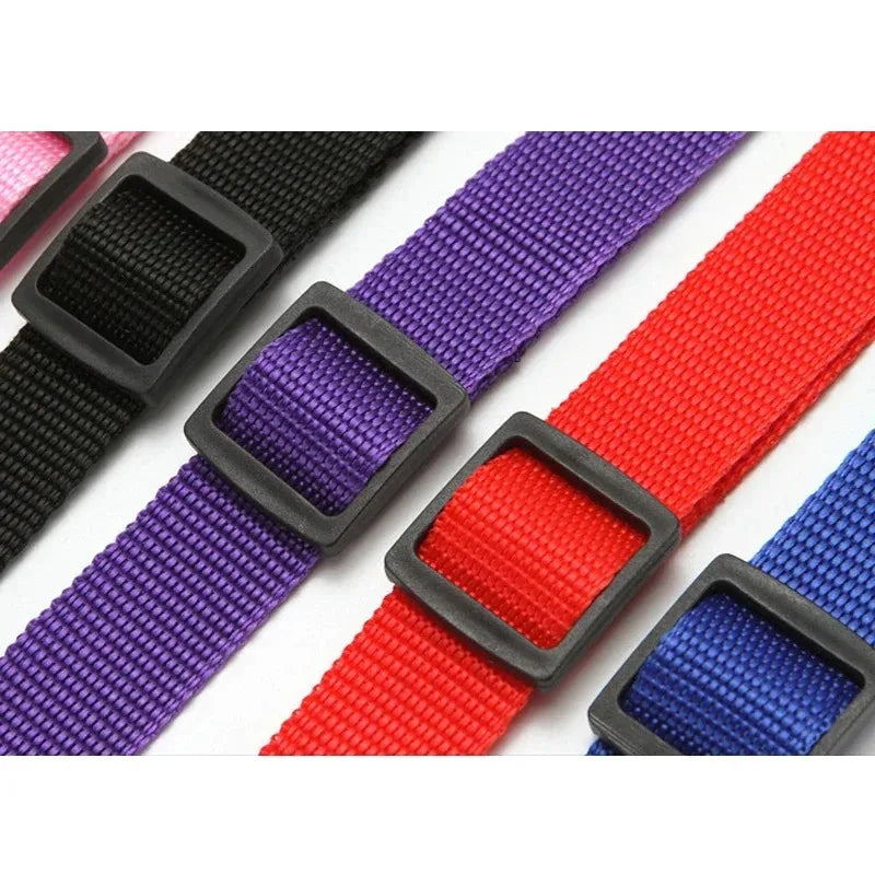 Adjustable Solid Color Pet Car Seat Belt Two-in-One Nylon Lead Leash Backseat Safety Harness Collar for Dogs Pet Travel Accessor