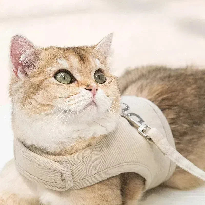 Pet Dog Cat Harness Lead Leash Set Adjustable Escape Proof Pet Kitten Vest Harness Puppy Dog Collar Small Dog Cat Pet Supplies