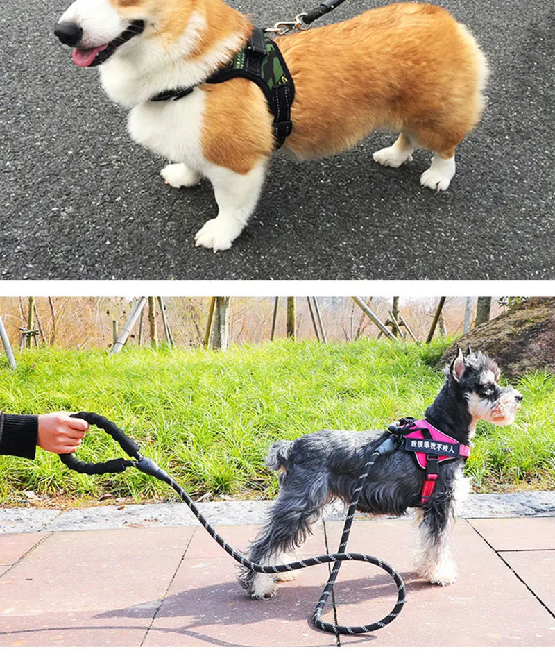 150/200/300cm Strong Dog Pet Leash Reflective Leash Large Small Dog Leash Golden Retriever Explosion Proof Punching Dog Harness