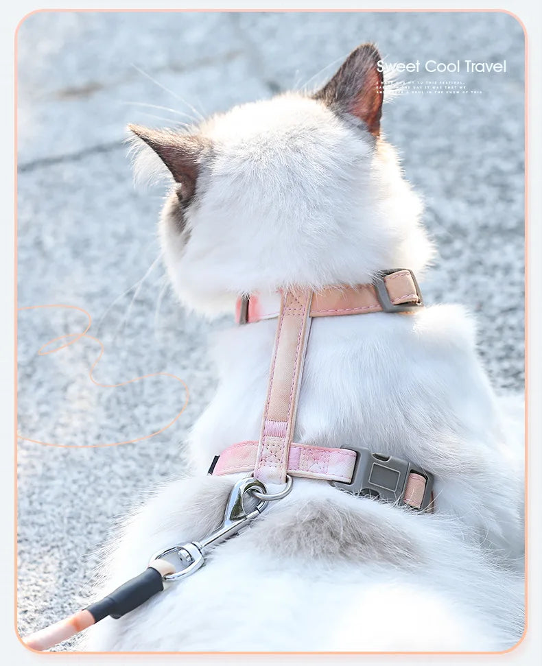 Cat Harness Set Adjustable Escape Proof Pet Harness for Kitten Outdoor Walking Cat Collar Lead Leash Pet Supplies